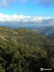 Parc National de Chréa