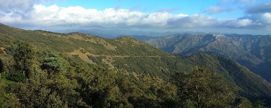 El Hamdania