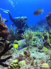 Poseidon Centro de Buceo