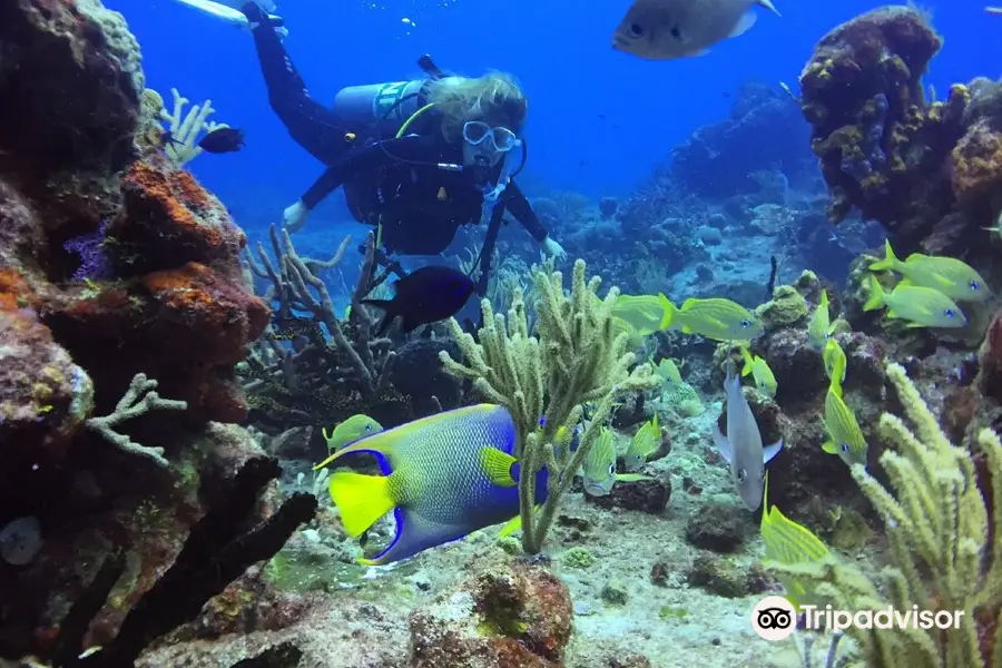 Poseidon Centro de Buceo