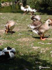 Wild- und Freizeitpark