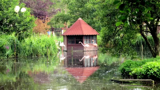 Vogelpark Niendorf