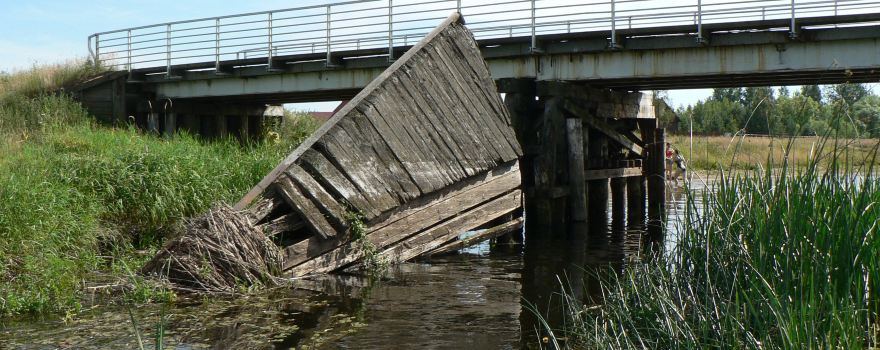 Biebrza24 - Spływy tratwami