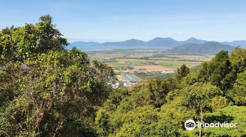 Henry Ross Lookout