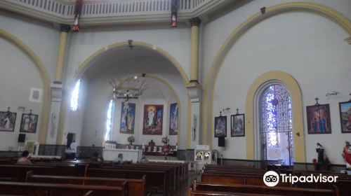 Cathedral of São Carlos