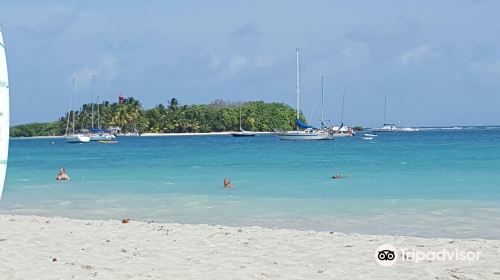 Plage de la Datcha