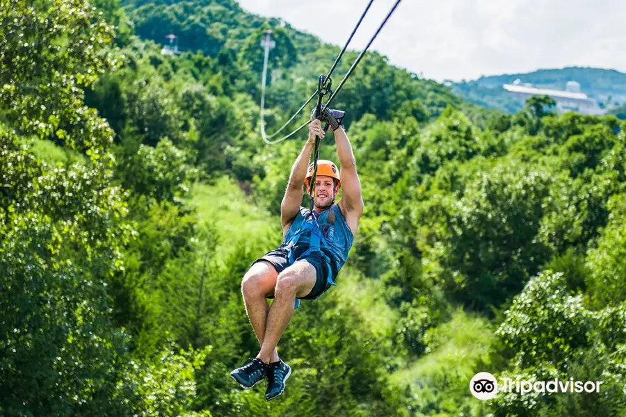 Adventure Park Ziplines