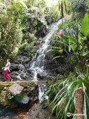 Biotopo del Quetzal