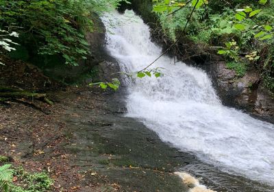 Dams to Darnley Country Park