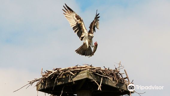 Edith G. Read Natural Park and Wildlife Sanctuary
