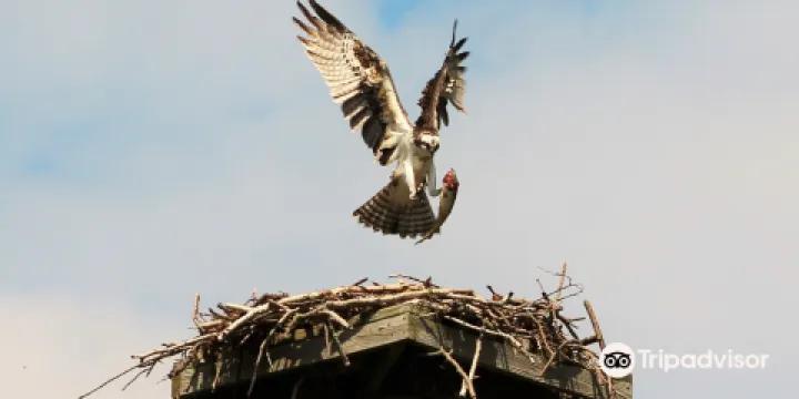 Edith G. Read Natural Park and Wildlife Sanctuary