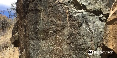 Salida Gulch Trail #95