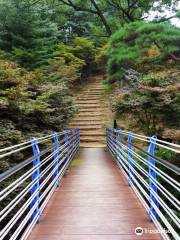 Greenization Memorial Forest