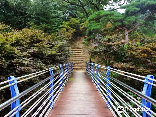 Greenization Memorial Forest