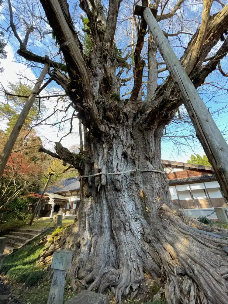 Hotels near Asahiyama Jonichi Temple