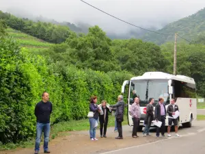 Adega Ponte Da Boga