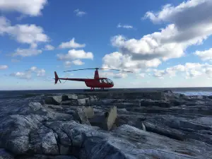 Seacoast Helicopters