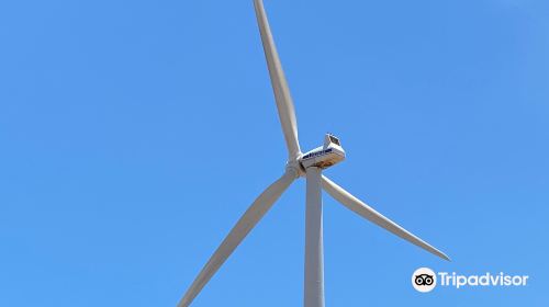 Emu Downs Wind Farm