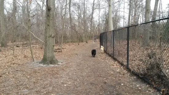 Timber Creek Dog Park