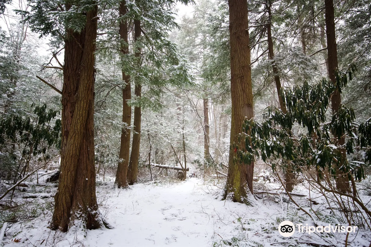 2_Cathedral State Park