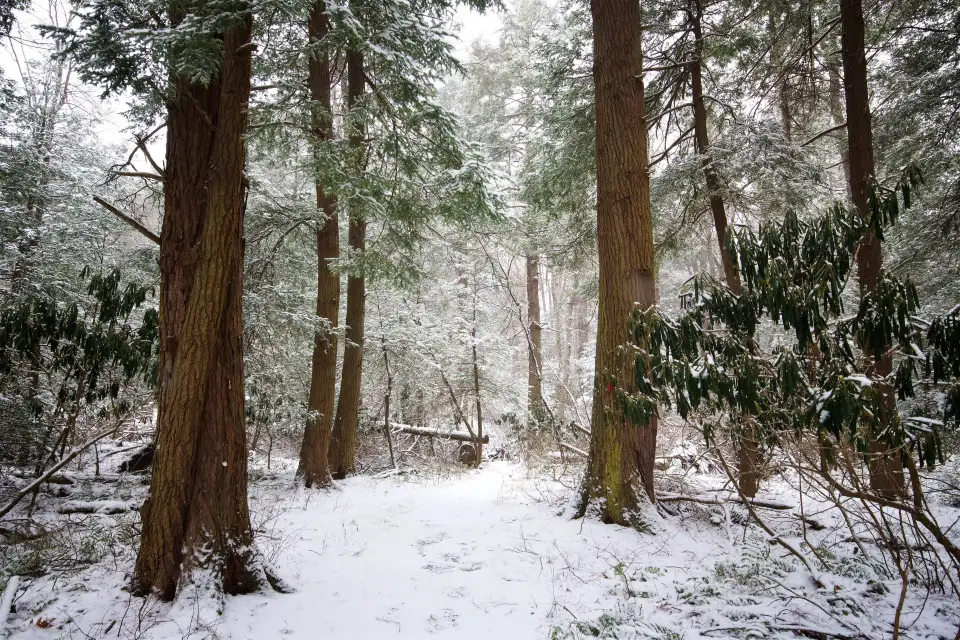 2_Cathedral State Park