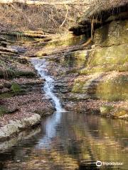 Lower Howard’s Creek Nature and Heritage Preserve