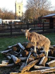 Stepney City Farm