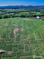 Great Vermont Corn Maze