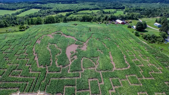 Great Vermont Corn Maze