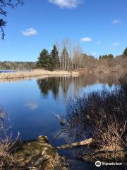 parc provincial Graves Island