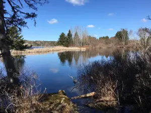 Graves Island Provincial Park