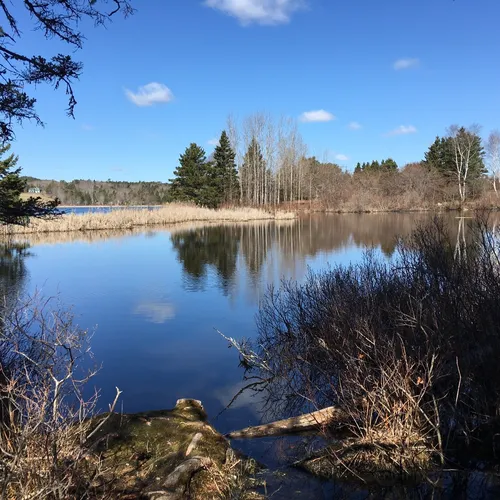 그레이브스 아일랜드 주립공원
