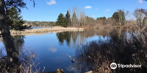 Graves Island Provincial Park
