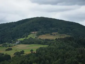 Wieża widokowa pod szczytem Jaworza