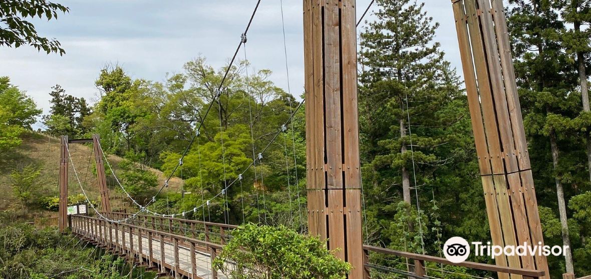 Things to Do in Aikawa in 2024 Top Attractions, Local Food, Hotels