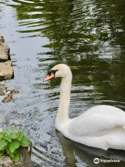 シャリュイエ公園