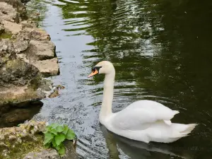 シャリュイエ公園