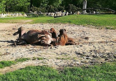 オポーレ動物園