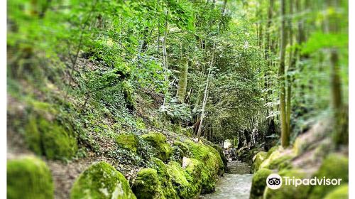 Hohle Gasse - Stiftung zur Erhaltung der Hohlen Gasse