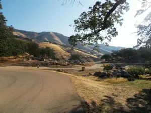 Pine Flat Lake