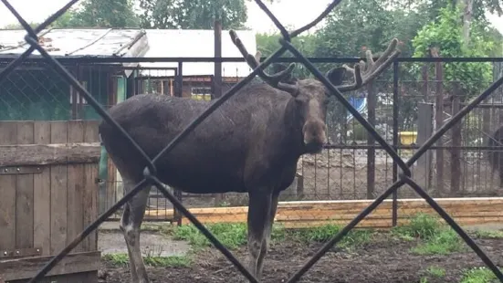 Lesnaya Skazka, Park Otdykha Imeni Alekseya Yeliseyeva