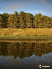 Parc du Marquenterre