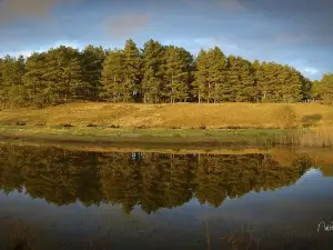 Parc du Marquenterre