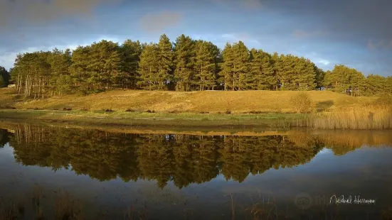 Parc du Marquenterre