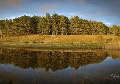 Parc du Marquenterre