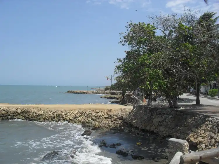 Tolú
