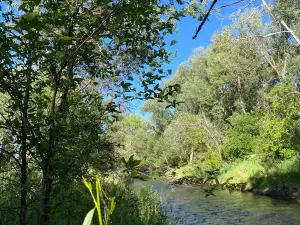 Bear Creek Greenbelt