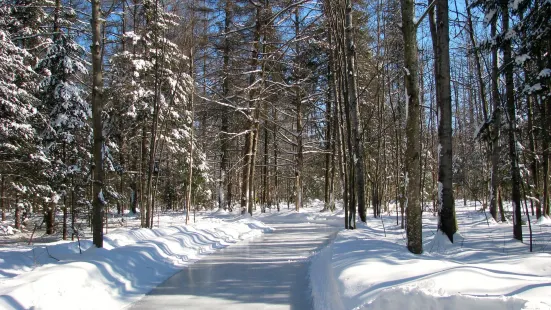 Parc John-H.-Molson