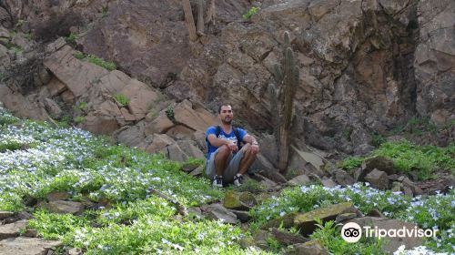 Quebrada de la Chimba Reserva Nacional