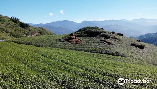 Eryanping Trail